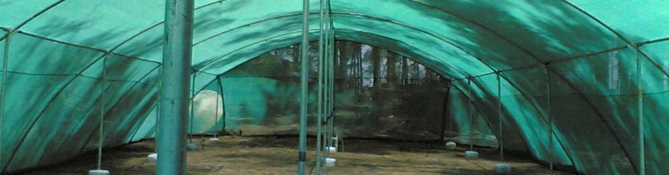 SHADE NET FOR AGRICULTURE, NURSERIES ETC.